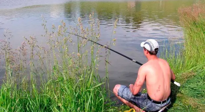 Chebak fish (Siberian roach): appearance, habitat