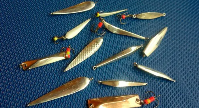 Chub fishing in winter: mormyshka, balancer and lure, fishing on the river