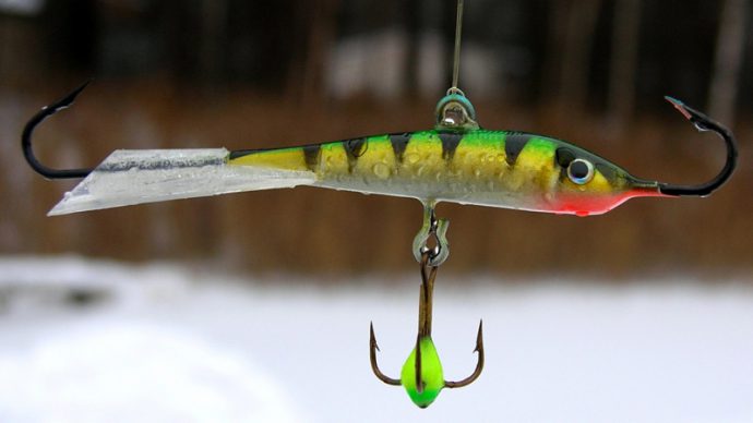 Chub fishing in winter: mormyshka, balancer and lure, fishing on the river