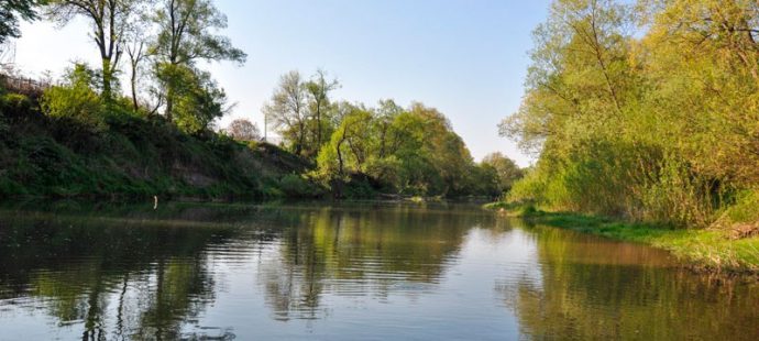 Chub fishing on the donk (feeder): tackle, fishing technique and bait