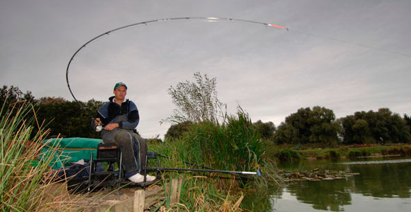 Chub fishing on the donk (feeder): tackle, fishing technique and bait