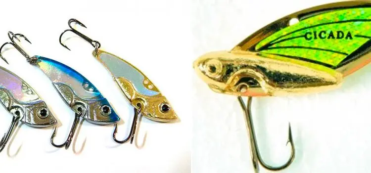 Cicada (bladebait) spinning lure: fishing technique