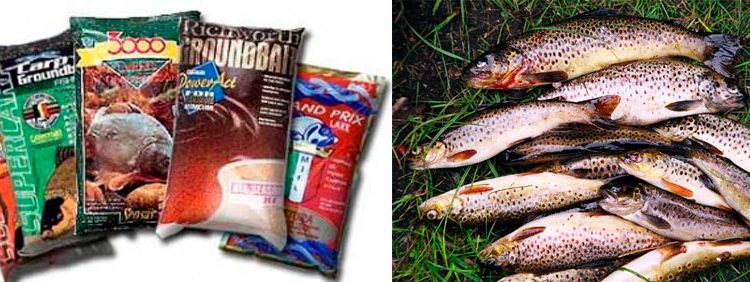 DIY bait for trout, the best recipe, a review of purchased