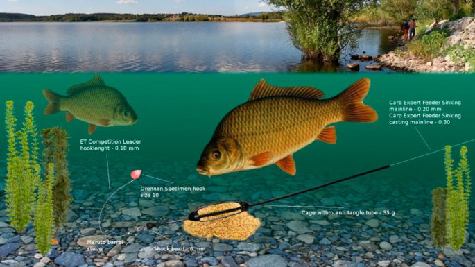 Do-it-yourself carp gear, mounting gear on karma