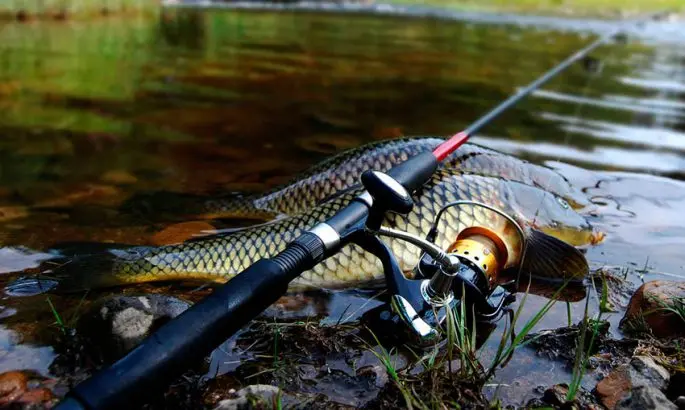 Do-it-yourself carp gear, mounting gear on karma