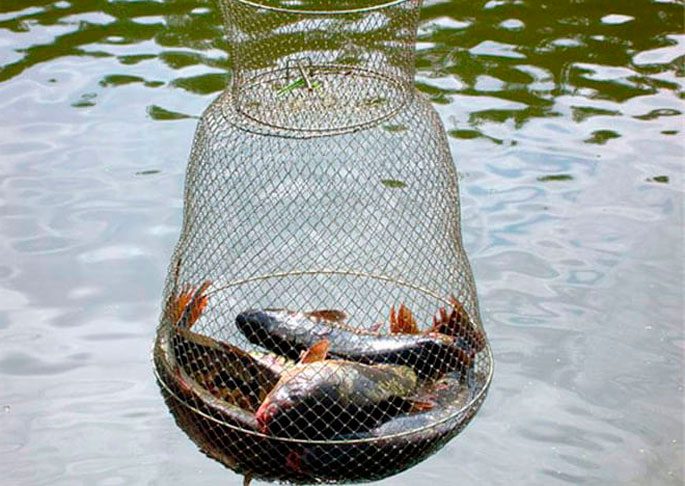 Do-it-yourself fish tank: net fish tank, metal