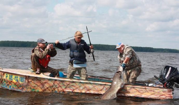 Do-it-yourself fishing for catfish on a donk from the shore and from a boat, fishing technique, do-it-yourself donk