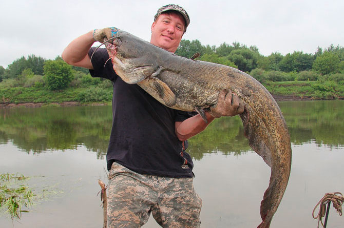 Do-it-yourself fishing for catfish on a donk from the shore and from a boat, fishing technique, do-it-yourself donk