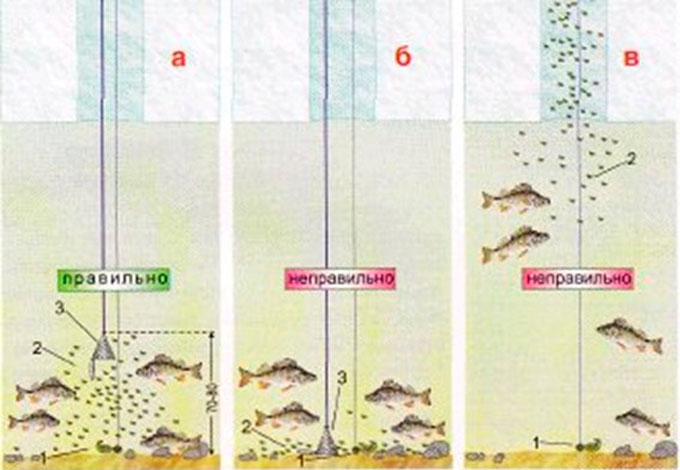 Do-it-yourself winter bait for roach, composition and components