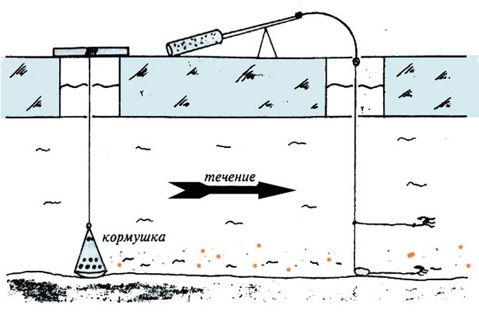 Do-it-yourself winter bait for roach, composition and components