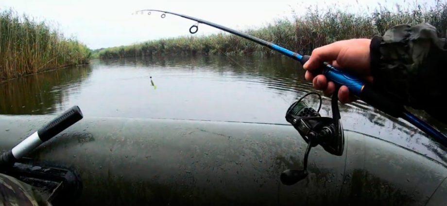 האם פייקים נושכים בגשם? דיג פייק במזג אוויר גשום