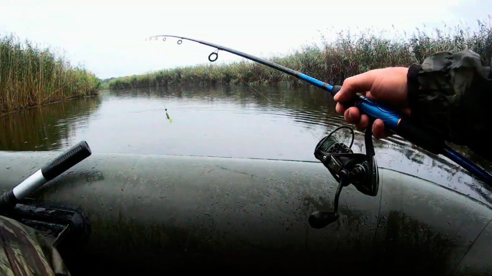 Do pike bite in the rain? Pike fishing in rainy weather
