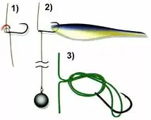 Drop shot: equipment and its installation, how to tie a drop shot (photo)