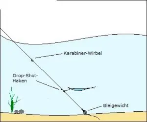 Drop shot: equipment and its installation, how to tie a drop shot (photo)