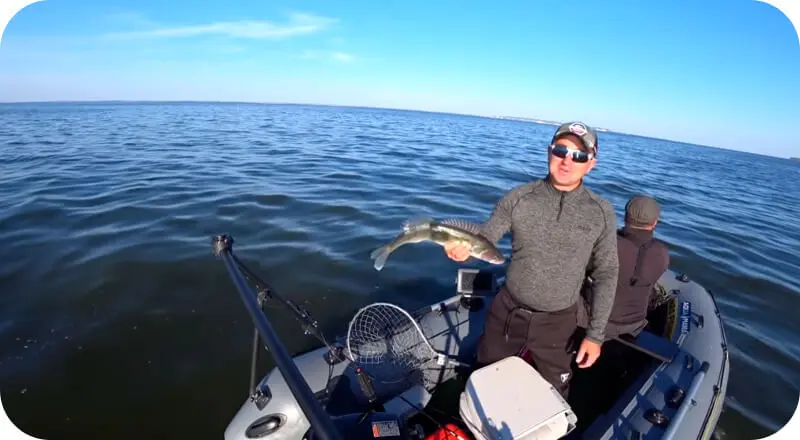 Drop shot rigging for pike perch - installation diagram