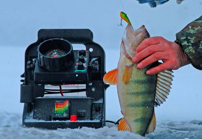 Echo sounder for winter fishing through the ice: the best models, characteristics