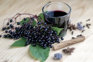 Elderberry &#8211; properties and use of elderberry syrup