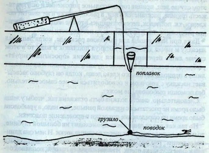 Equipment for a winter fishing rod for roach: types of equipment and proper use