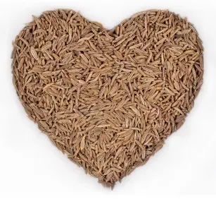 Fat slayer - cumin!