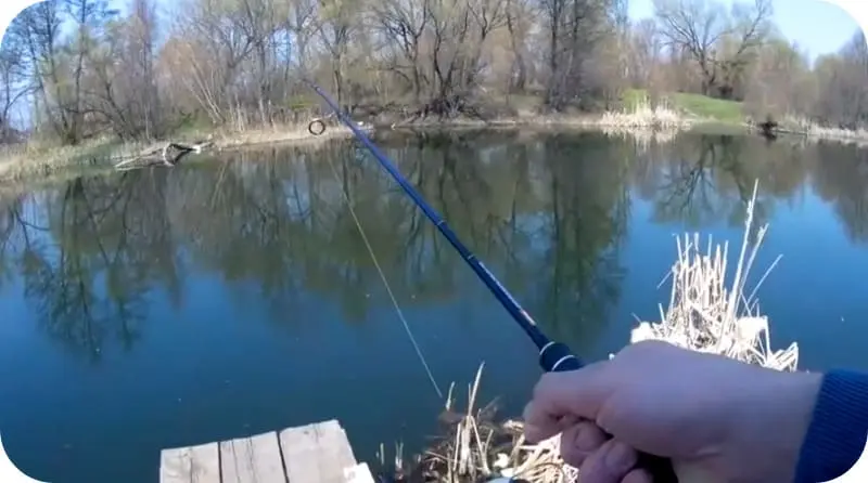 Features of spinning fishing during the spawning ban