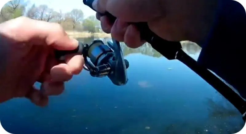 Features of spinning fishing during the spawning ban