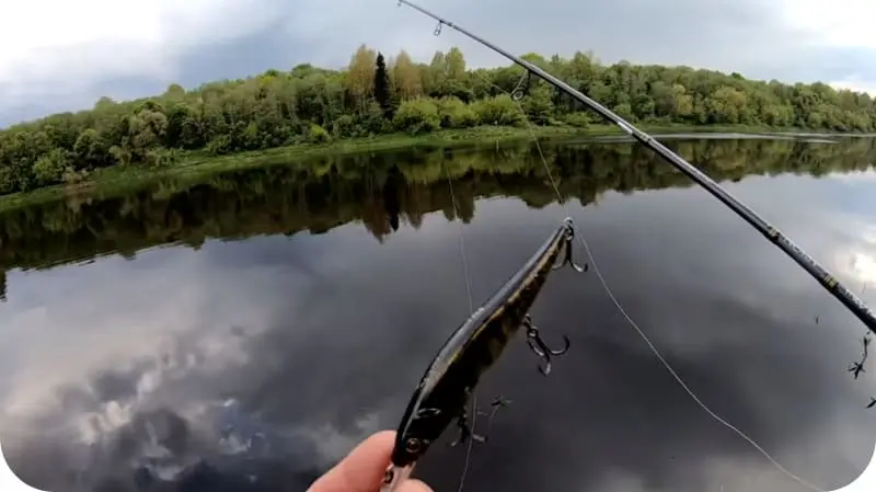 Features of spinning fishing during the spawning ban