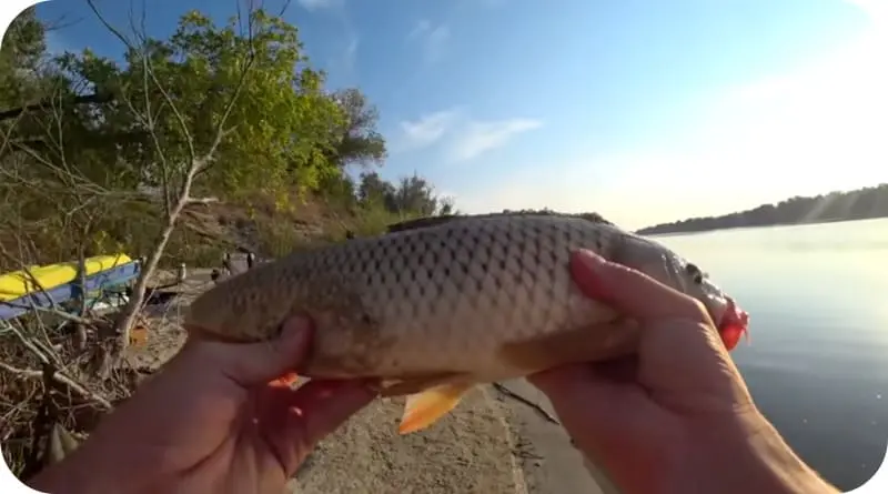 Federal Law of the Russian Federation on fishing and conservation of aquatic biological resources