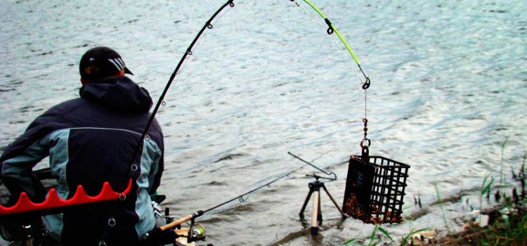 Feeder: equipment, reel, how to mount, rod, fishing line