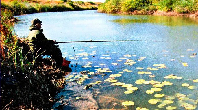 Fish biting schedule: what to fish for and what kind, how the fish bite and where