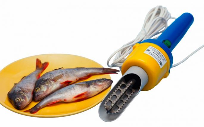 Fish cleaner: manual, electric, DIY