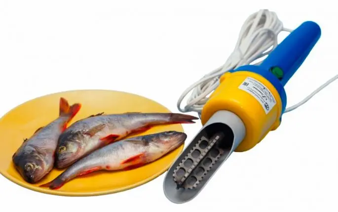 Fish cleaner: manual, electric, DIY