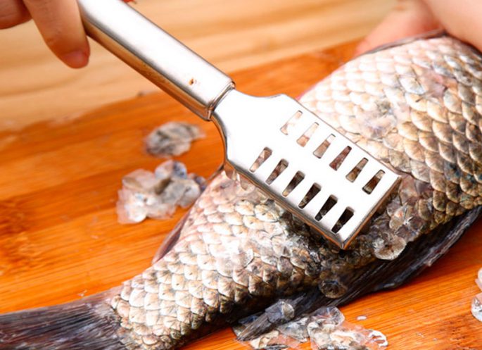 Fish cleaner: manual, electric, DIY