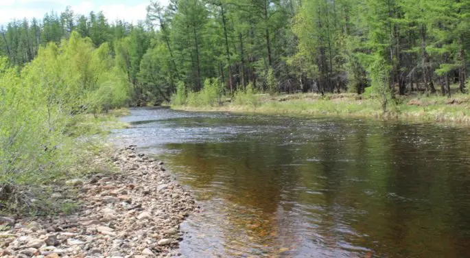 Fish of Siberia and the Far East of Russia: description with photo, fishing