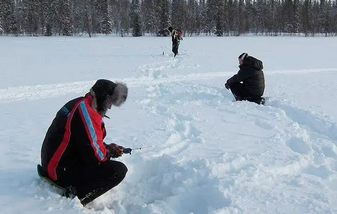 Fish of the whitefish family, a list with names and photos, features of catching whitefish