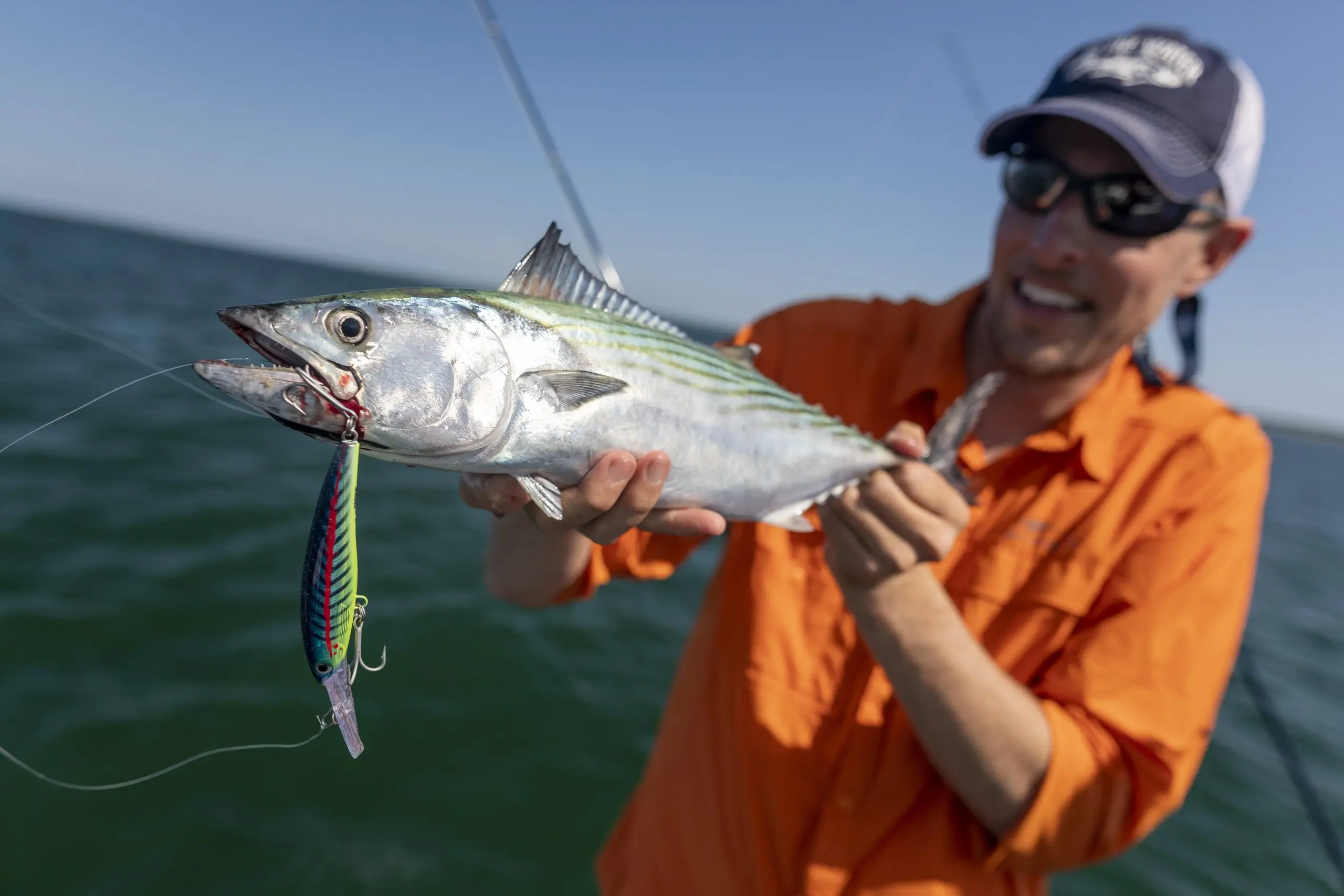 Fishing Bonitos on a spinning rod: ways and places to catch fish