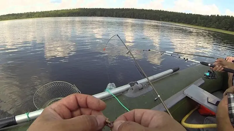 Fishing for bream from a boat with side rods