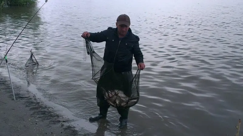 Fishing for bream from the shore