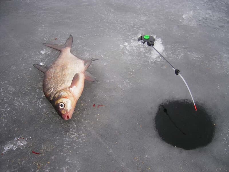 Fishing for bream in winter