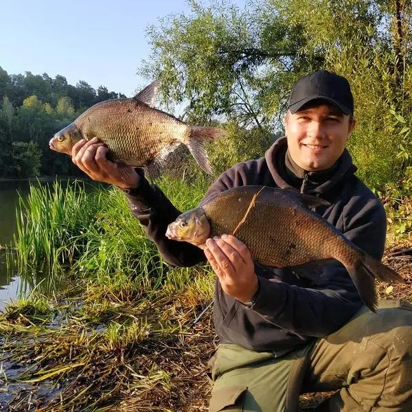 Fishing for bream on peas