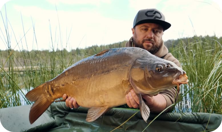 Fishing for carp in the summer - the best tackle, bait and fishing methods
