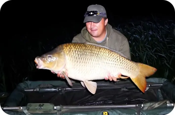 Fishing for carp in the summer - the best tackle, bait and fishing methods