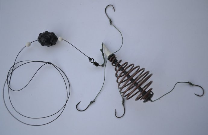 Fishing for carp on a spring: an overview of gear and its installation, bait and nozzles