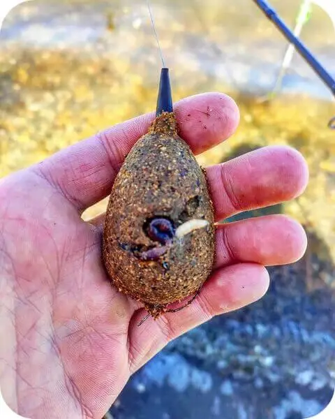 Fishing for crucian carp on the Donka