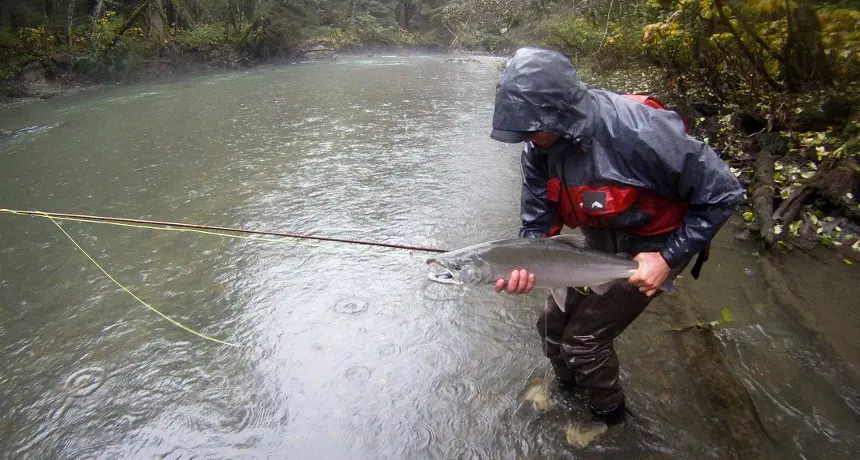 Fishing for dace in spring and summer: tackle for fly fishing for dace and with a float rod