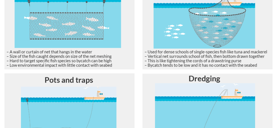 مچھلی کے لیے ماہی گیری: لالچ، ماہی گیری کے طریقے اور مسکن