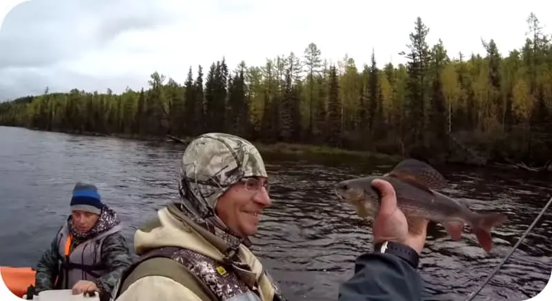 Fishing for grayling in autumn: seasonal features