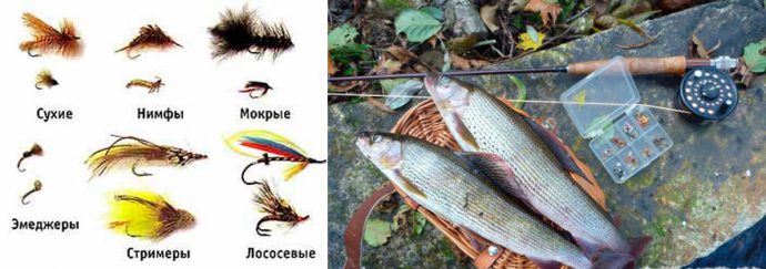 Fishing for grayling in Krasnoyarsk: fishing at different times of the year, places