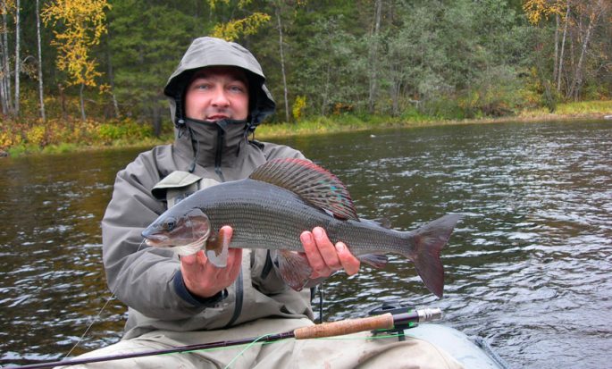 Fishing for grayling in Krasnoyarsk: fishing at different times of the year, places