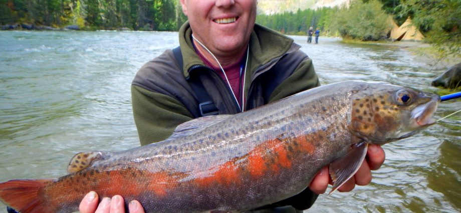 صيد لينوك على النهر: معالجة والذباب لصيد الأسماك النهري على لينوك للغزل