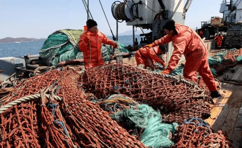 Fishing for omul on Lake Baikal: tackle for summer omul fishing with a bait from a boat